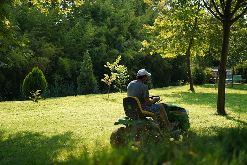 A man operating a lawn mower on a sunny day in a lush green garden, surrounded by trees and foliage.